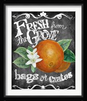 Fresh from the Grove Framed Print