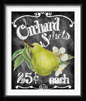 Orchard Selects Framed Print