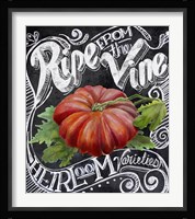 Chalkboard Tomato Framed Print