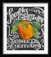 Chalkboard Pepper Fine Art Print