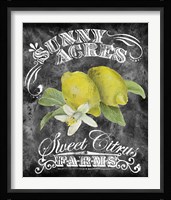 Sunny Acres Fine Art Print