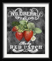 Wildberry Fields Fine Art Print