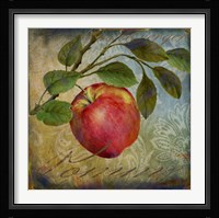 From The Grove Apple Fine Art Print