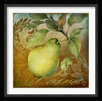From The Grove Pear Fine Art Print