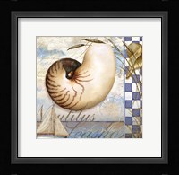 Shell Dreams 2 Fine Art Print