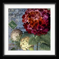 Rouge From the Garden I Fine Art Print