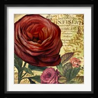 Rouge From the Garden IV Fine Art Print