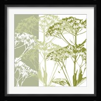 Delicate Greens Fine Art Print