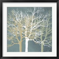 Tranquil Trees Fine Art Print