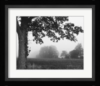 Over the Meadow Fine Art Print