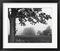 Over the Meadow Fine Art Print