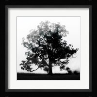 Autumn Glory Fine Art Print