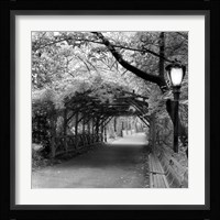 Central Park Pergola Fine Art Print