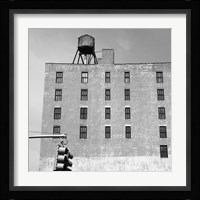 Wall of Windows Fine Art Print