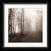 Foggy Path Fine Art Print