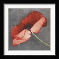 Rouge Framed Print