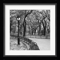 A Walk Through the Park Framed Print