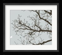 Whimsy Tree Framed Print