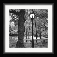 A Light in Central Park Framed Print