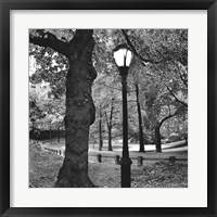 A Light in Central Park Framed Print