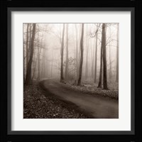 Misty Lane Fine Art Print