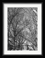 Philadelphia Museum (Trees) Framed Print
