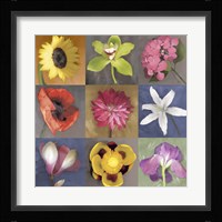 Flower Nine Framed Print