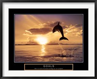 Goals - Dolphins Fine Art Print