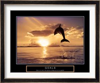 Goals - Dolphins Fine Art Print