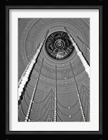 Pearl Swag Fine Art Print