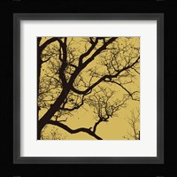 Rejoice IV Framed Print