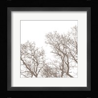 Majesty I Framed Print
