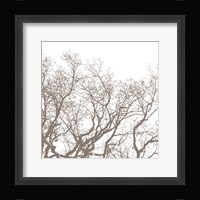 Majesty II Fine Art Print