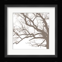 Majesty III Framed Print