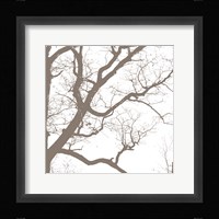 Majesty IV Framed Print