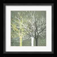 Silent Forest Framed Print
