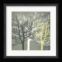 Tranquil Forest Fine Art Print