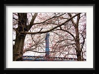 Red Blooms in Brooklyn Fine Art Print