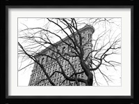 Flatiron with Tree (b/w) Fine Art Print