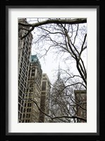 Looking up 5th Framed Print