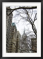 Looking up 5th Framed Print