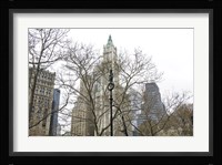 Woolworth Building from City Hall Park Fine Art Print