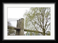 Brooklyn Bridge and Willow Fine Art Print