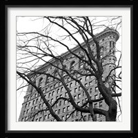 Flatiron with Tree (b/w) (detail) Fine Art Print