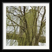 Veiled Brooklyn Bridge (detail) Fine Art Print