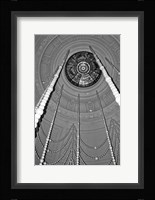 Pearl Swag (detail) Fine Art Print