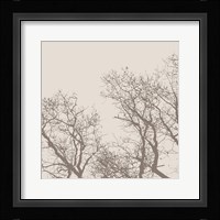 Majesty I (beige) Framed Print