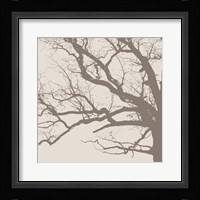 Majesty III  (beige) Framed Print