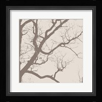 Majesty IV  (beige) Framed Print