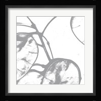 Silver Dollars I Framed Print